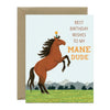 Mane Dude Horse Birthday