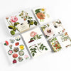 Pepin Correspondence Sets