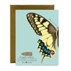 Swallowtail Butterfly Congrats