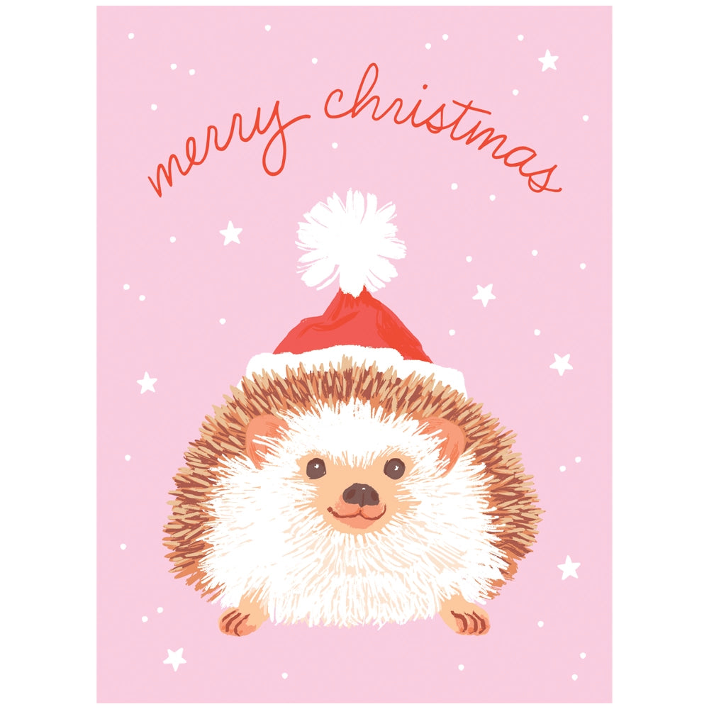 Hedgehog in Santa Hat