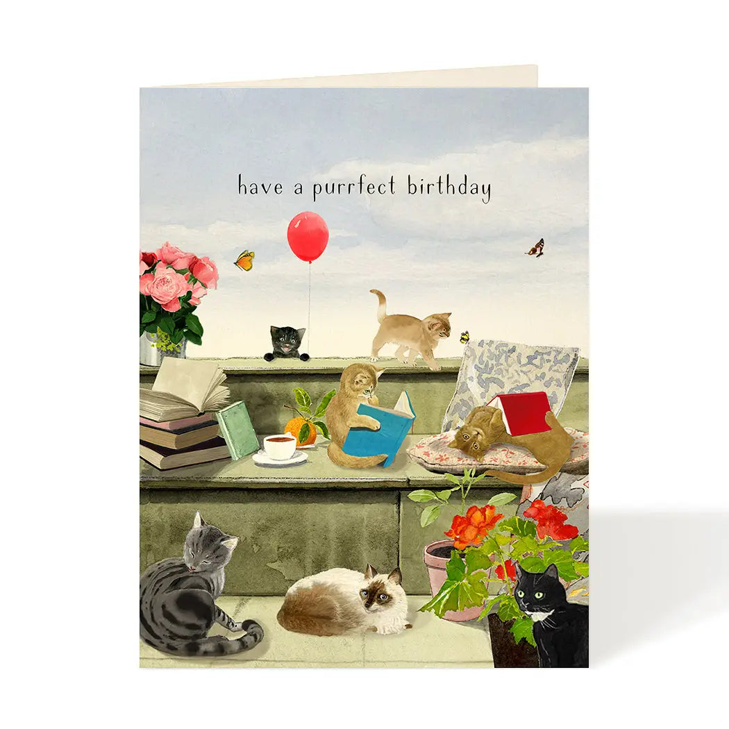 Purrfect Birthday
