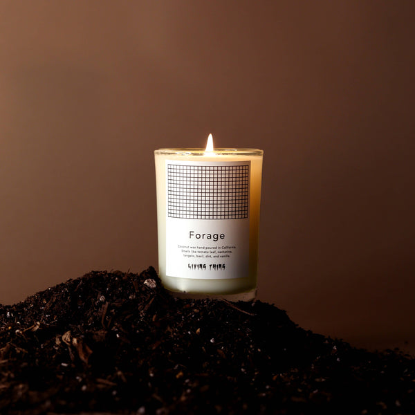 Forage Candle