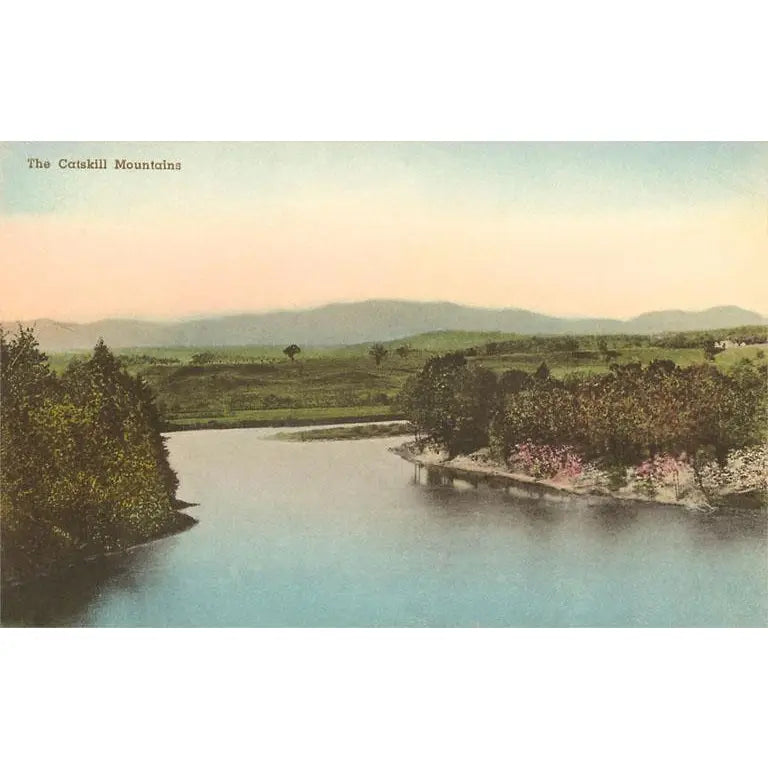 NS-575 Catskill Mountains, New York - Vintage Image, Postcard