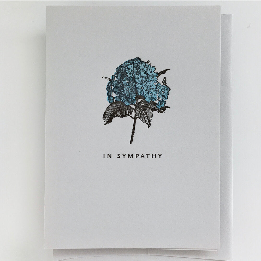 Hydrangea in Sympathy