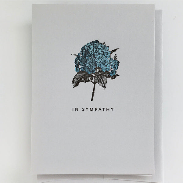 Hydrangea in Sympathy