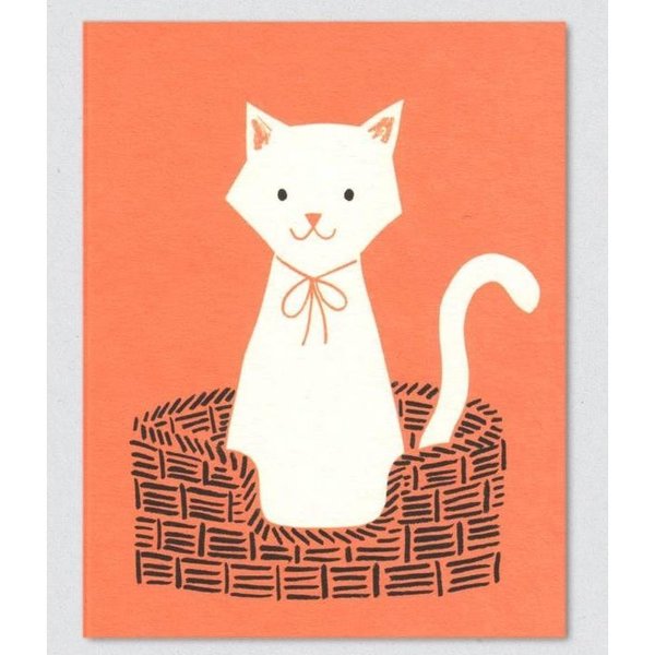 Cat Basket