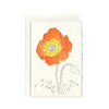 Orange Poppy