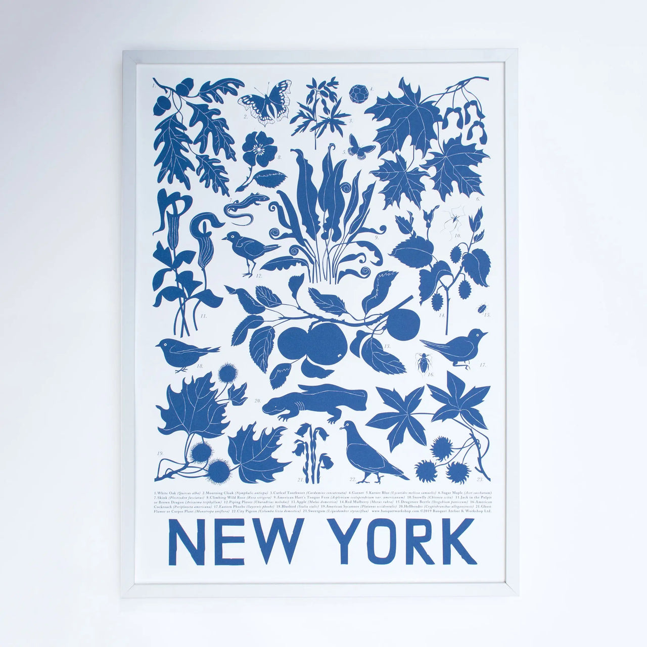 New York State Flora Screen Print - Unframed