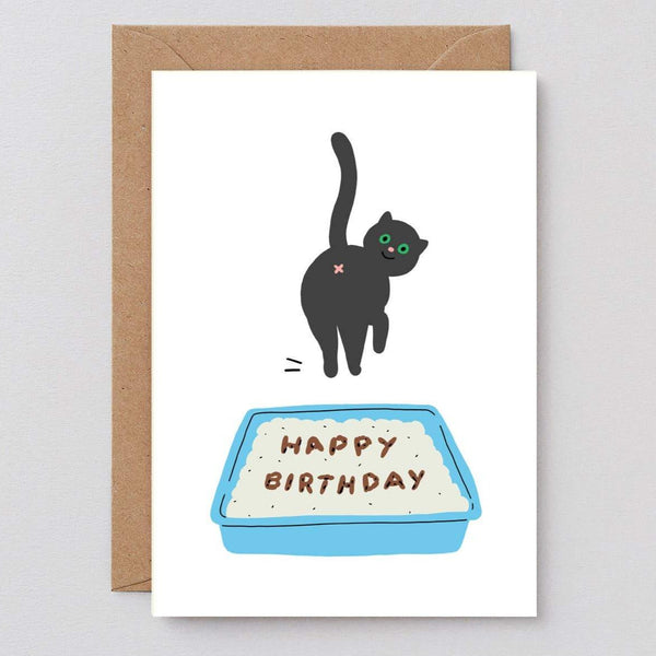 Birthday Cat Poop