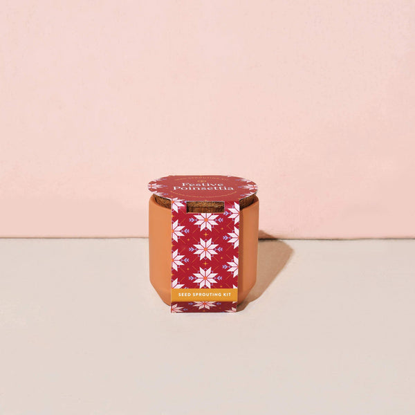 Holiday Tiny Terracotta Grow Kit | Festive Poinsettia
