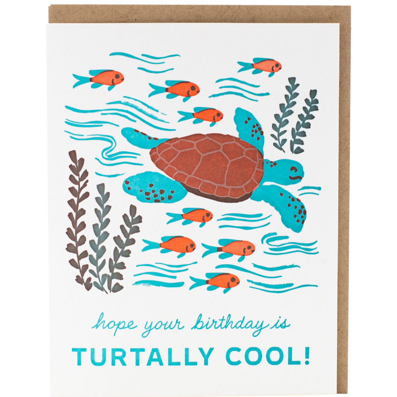 Sea Turtle Birthday
