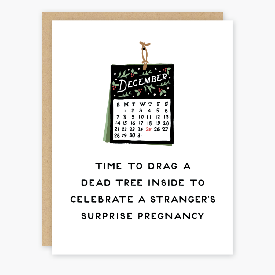 Holiday Surprise Pregnancy