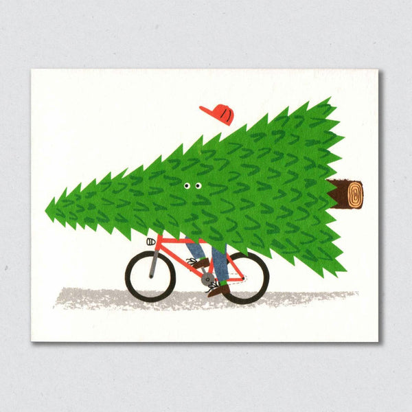 Seasonal Cyclist